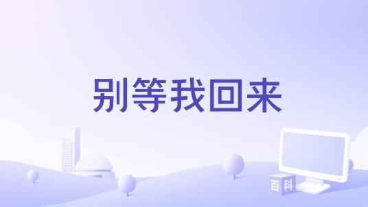 别等我回来