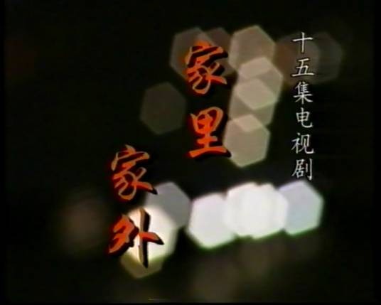 家里家外（1998年林芳兵、杨树泉主演的电视剧）