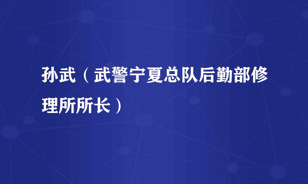 孙武（武警宁夏总队后勤部修理所所长）