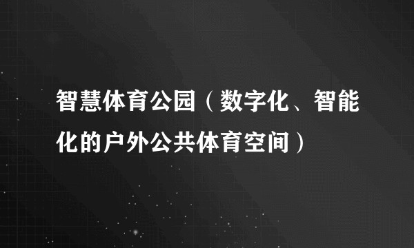 智慧体育公园（数字化、智能化的户外公共体育空间）