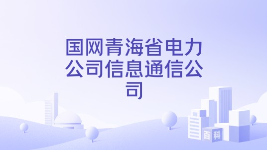 国网青海省电力公司信息通信公司