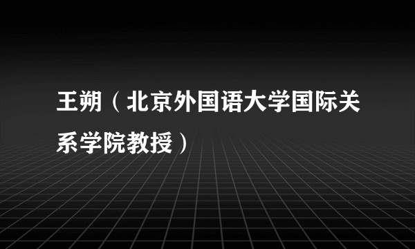 王朔(北京外国语大学国际关系学院教授)