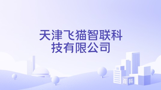 天津飞猫智联科技有限公司