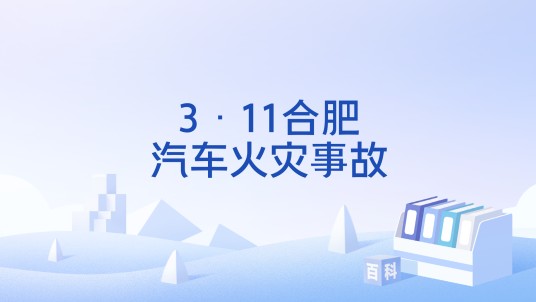 3·11合肥汽车火灾事故