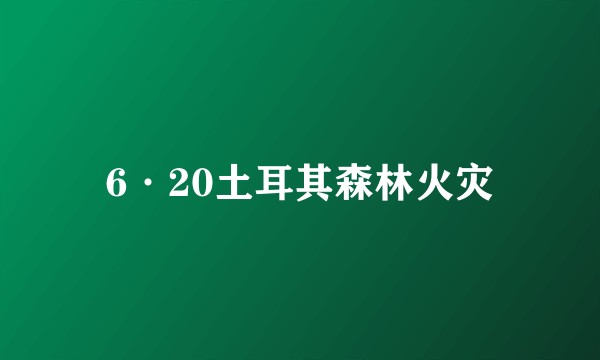 6·20土耳其森林火灾