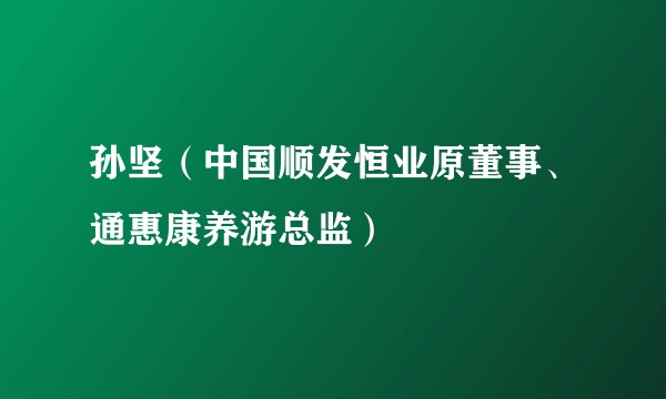 孙坚（中国顺发恒业原董事、通惠康养游总监）