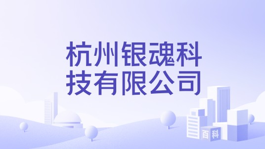 杭州银魂科技有限公司