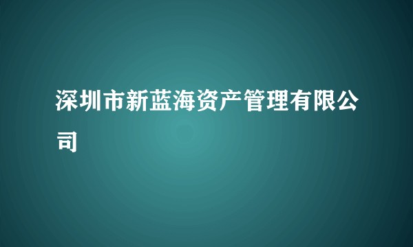 深圳市新蓝海资产管理有限公司
