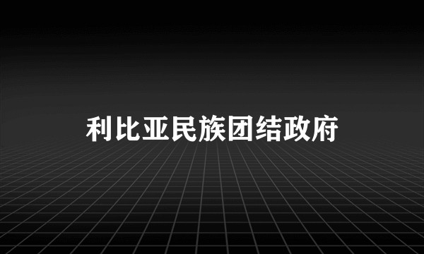 利比亚民族团结政府