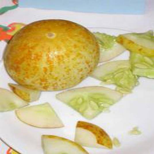 Cucumis sativus