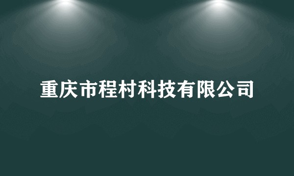 重庆市程村科技有限公司