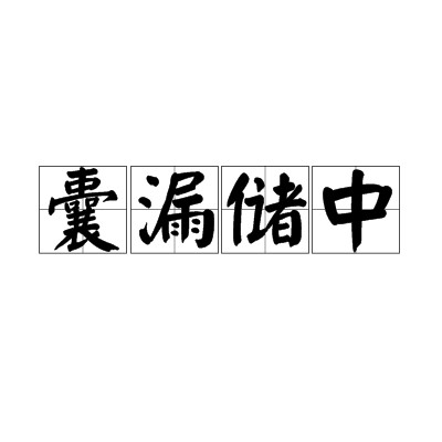 囊漏储中