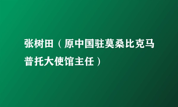 张树田（原中国驻莫桑比克马普托大使馆主任）