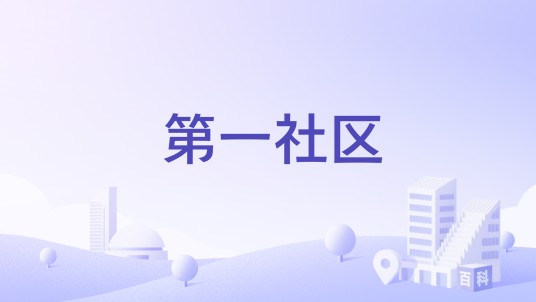 第一社区（广东省广州市增城区仙村镇下辖社区）