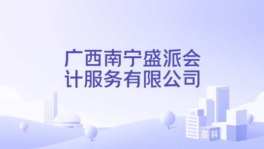 广西南宁盛派会计服务有限公司