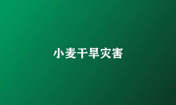 小麦干旱灾害