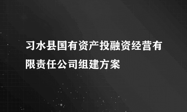 习水县国有资产投融资经营有限责任公司组建方案