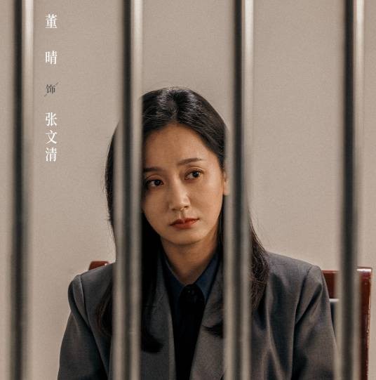 张文菁（电视剧《以法之名》中的角色）