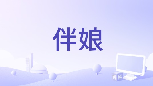 伴娘(美国2011年保罗·费格执导的电影)