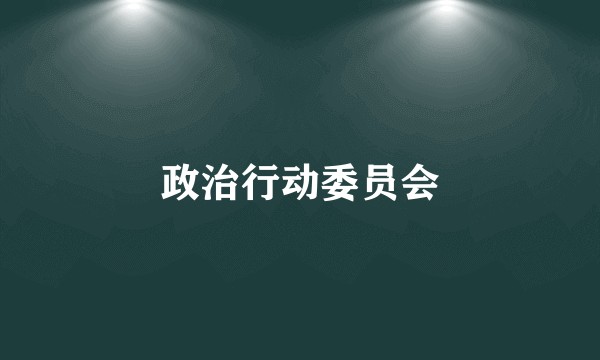 政治行动委员会