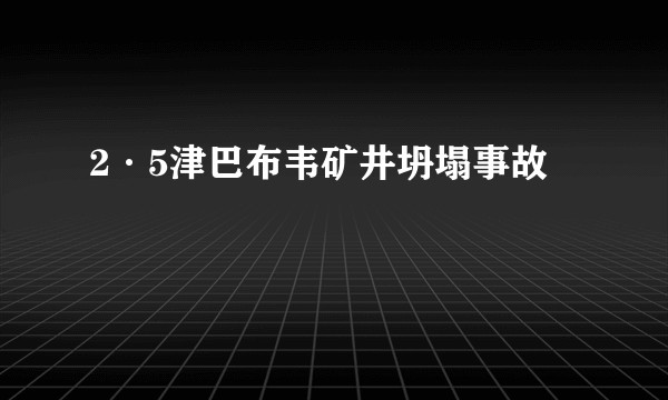 2·5津巴布韦矿井坍塌事故