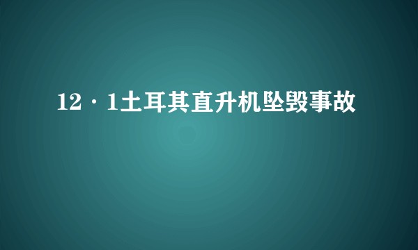 12·1土耳其直升机坠毁事故