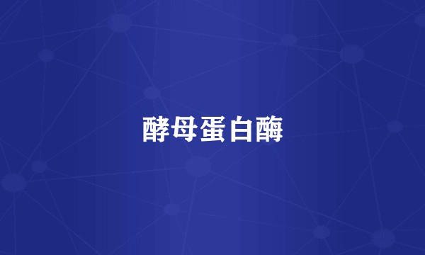 酵母蛋白酶