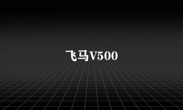 飞马V500