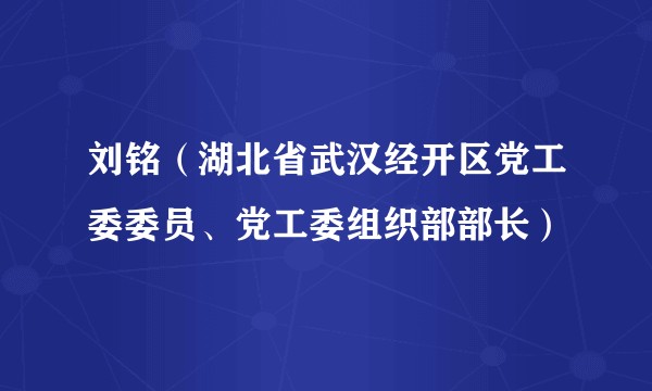 刘铭(湖北省武汉经开区党工委委员、党工委组织部部长)