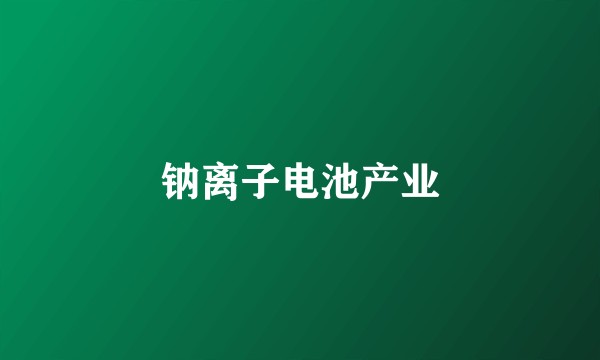 钠离子电池产业
