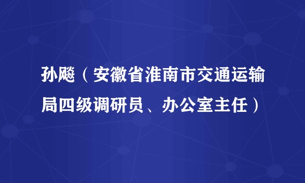 孙飚（安徽省淮南市交通运输局四级调研员、办公室主任）