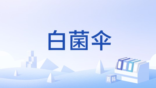 白菌伞
