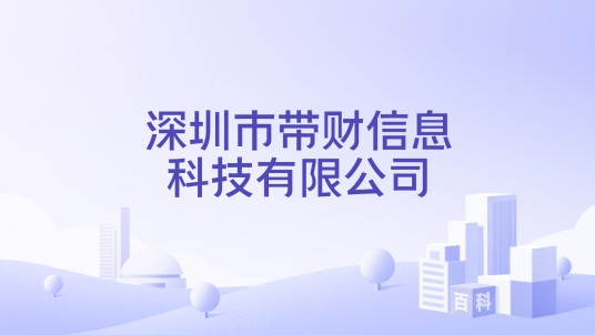 深圳市带财信息科技有限公司