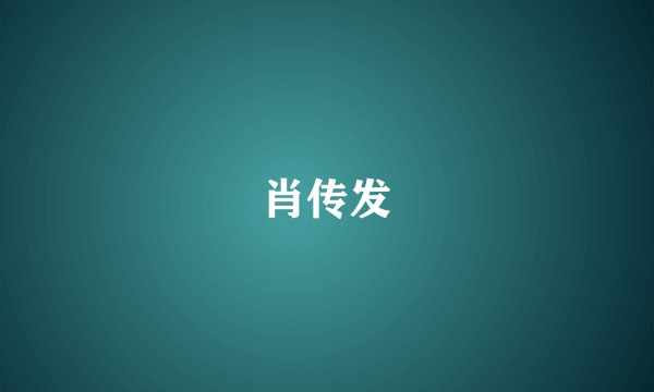 肖传发
