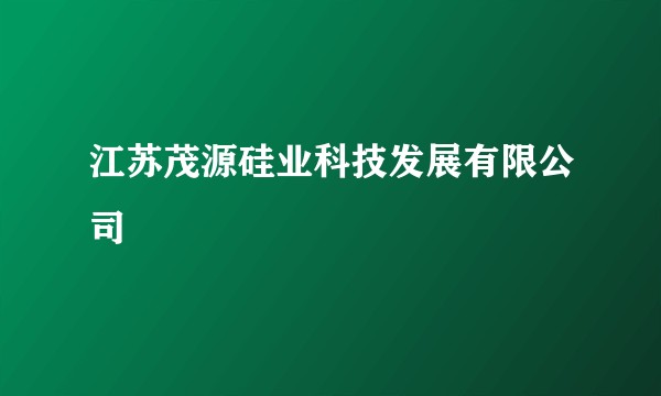 江苏茂源硅业科技发展有限公司