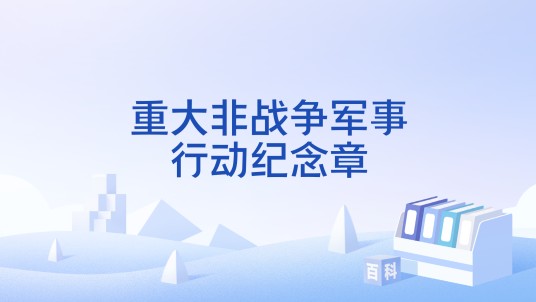 重大非战争军事行动纪念章