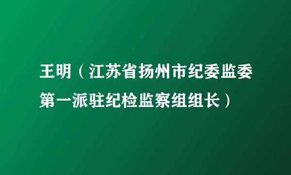王明（江苏省扬州市纪委监委第一派驻纪检监察组组长）