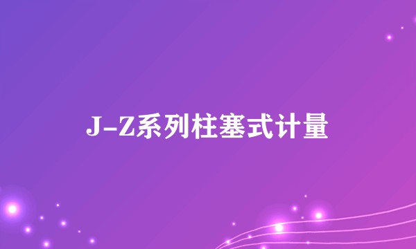 J-Z系列柱塞式计量