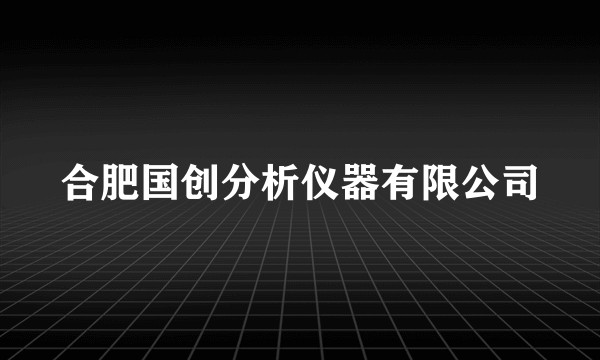 合肥国创分析仪器有限公司