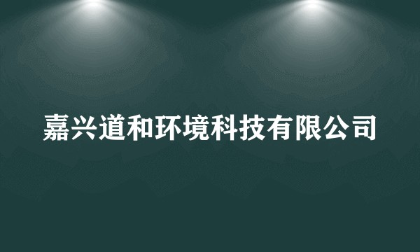 嘉兴道和环境科技有限公司