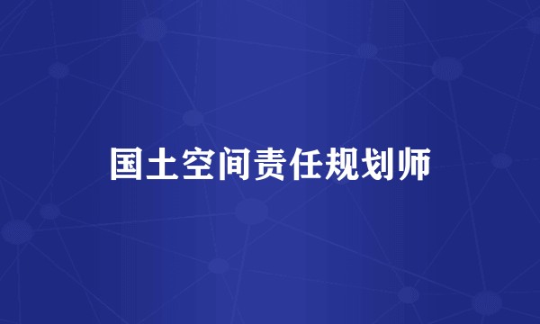 国土空间责任规划师
