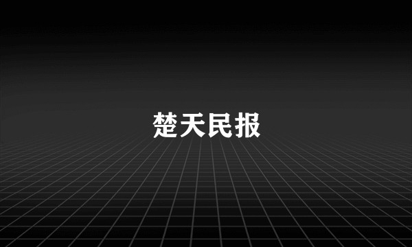 楚天民报