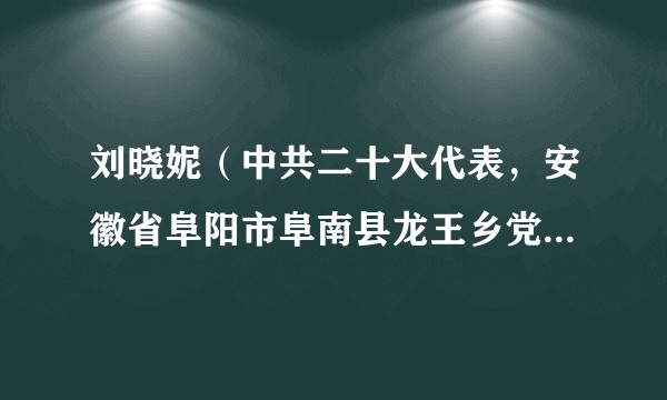 刘晓妮（中共二十大代表，安徽省阜阳市阜南县龙王乡党委书记）