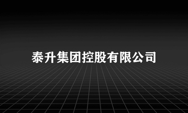 泰升集团控股有限公司