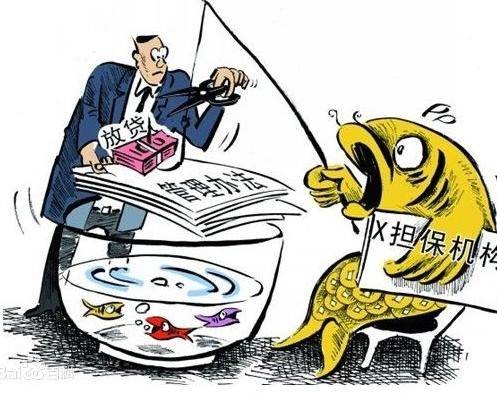 融资性担保公司管理暂行办法
