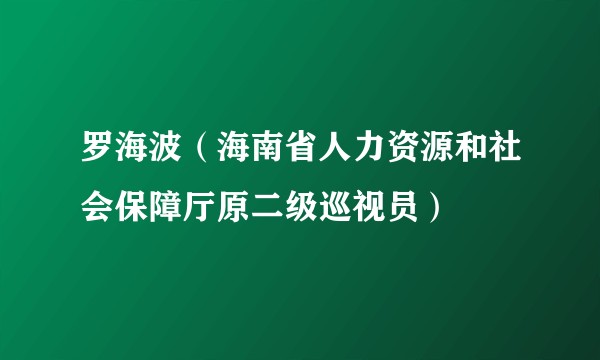 罗海波(海南省人力资源和社会保障厅原二级巡视员)