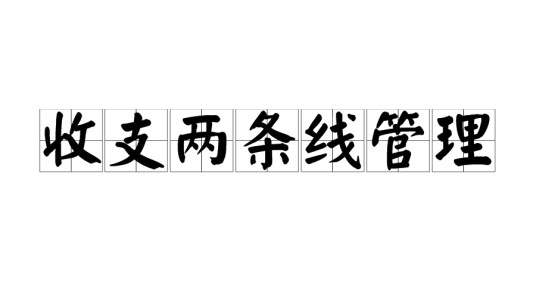 收支两条线管理