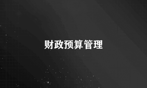 财政预算管理