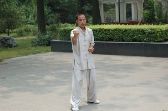 五祖鹤阳拳（中国传统武术拳法）