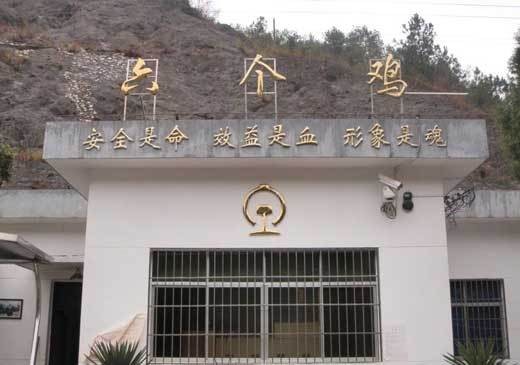六个鸡站